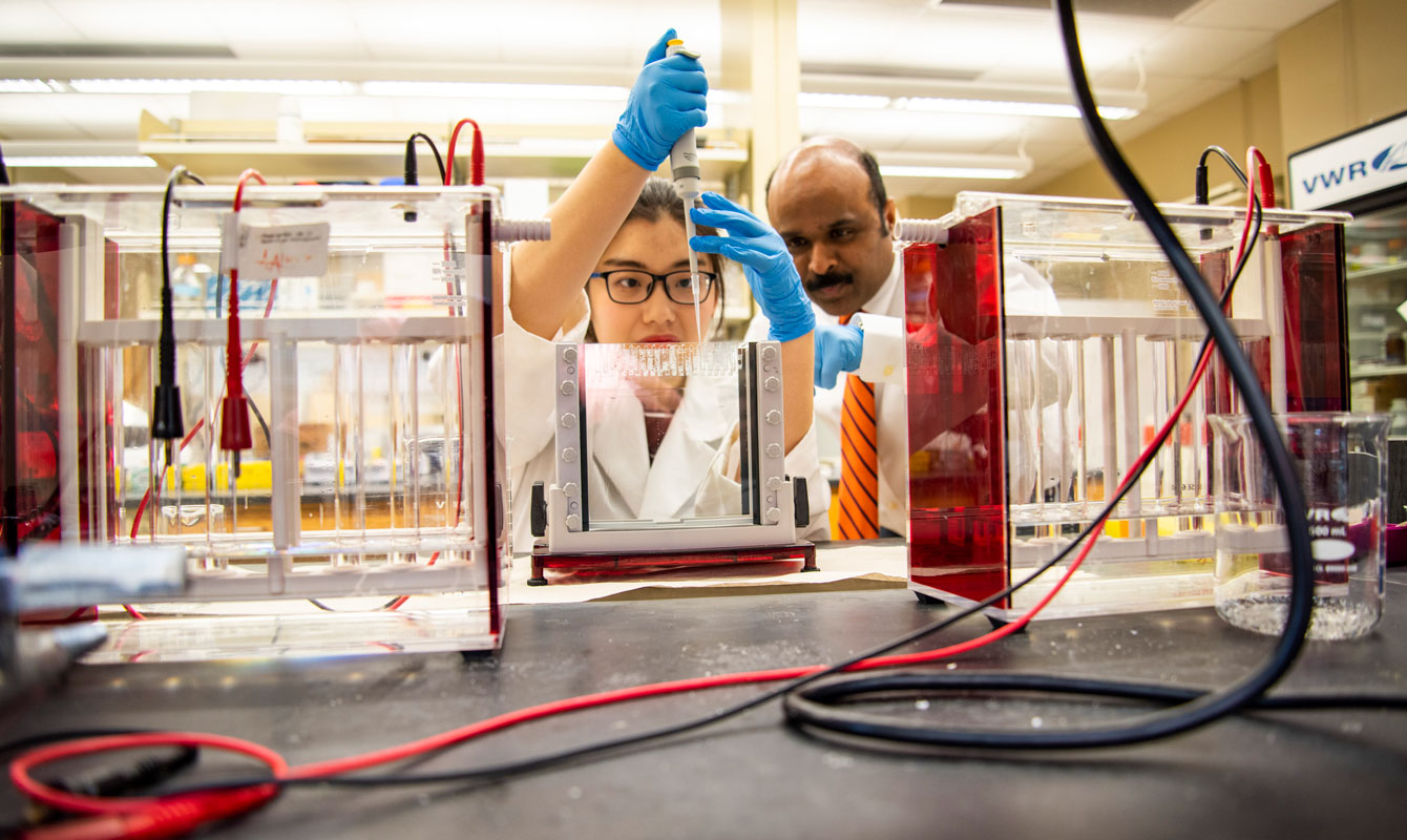 Student in Nutrition Sciences lab.